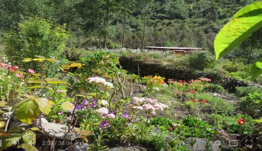 Hospedaje Illariy Yanama Ngoại thất bức ảnh